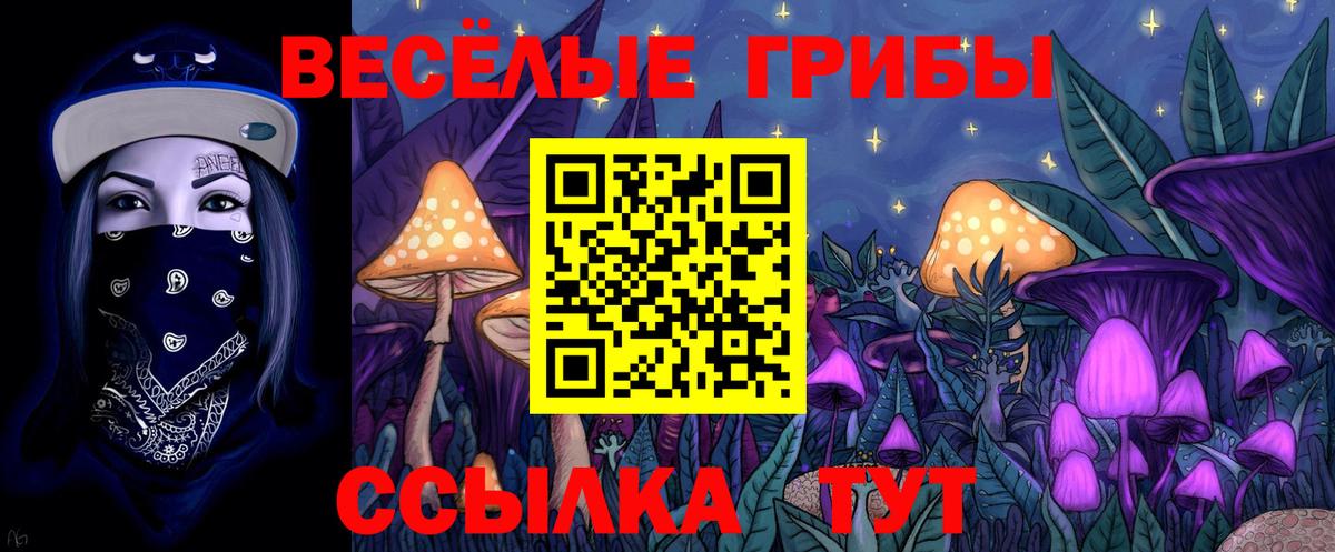 Псилоцибиновые грибы мухоморы Миасс
